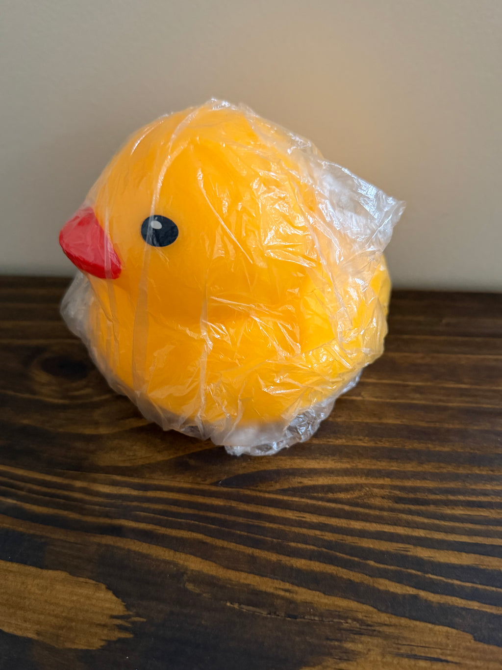 Duck Squishy