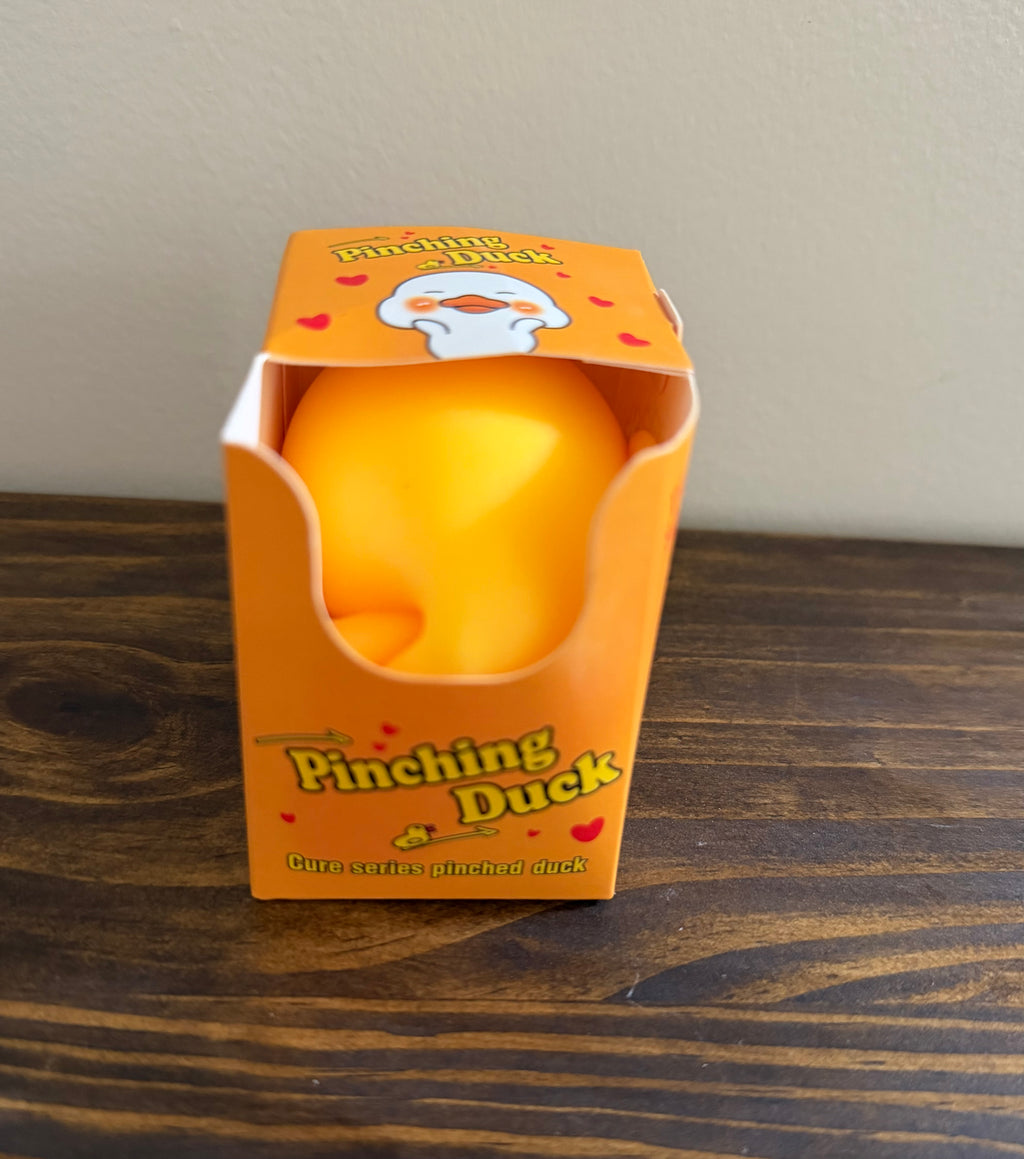 Pinching Duck Squishy